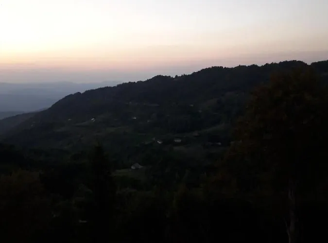 Ami Апартаменты Копаоник