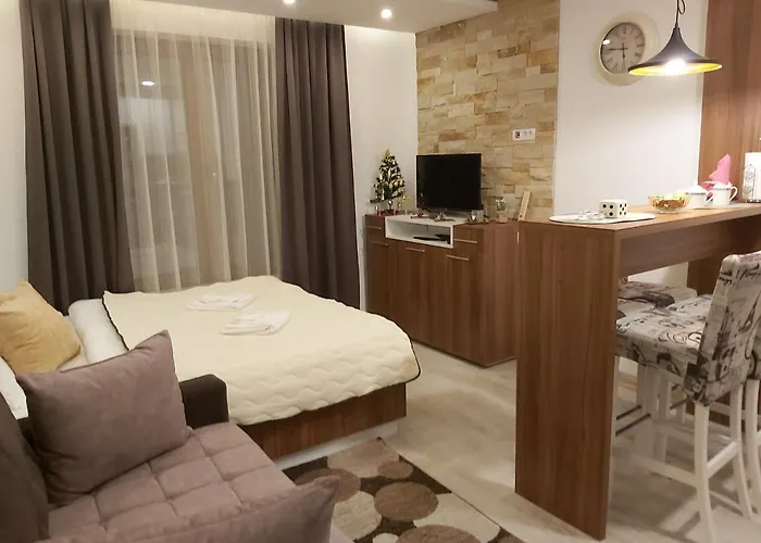 Ami Копаоник