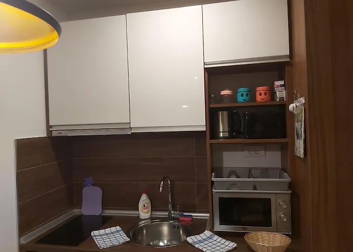 Ami Копаоник