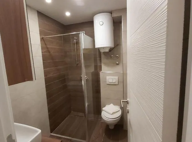 Ami Копаоник