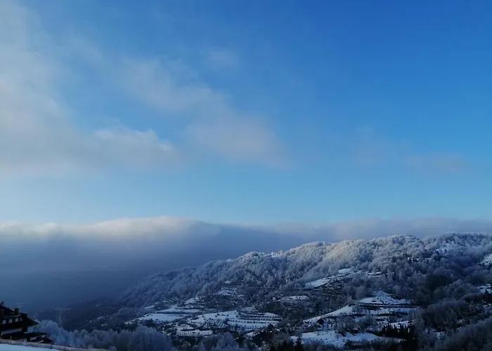 Апартаменты Ami