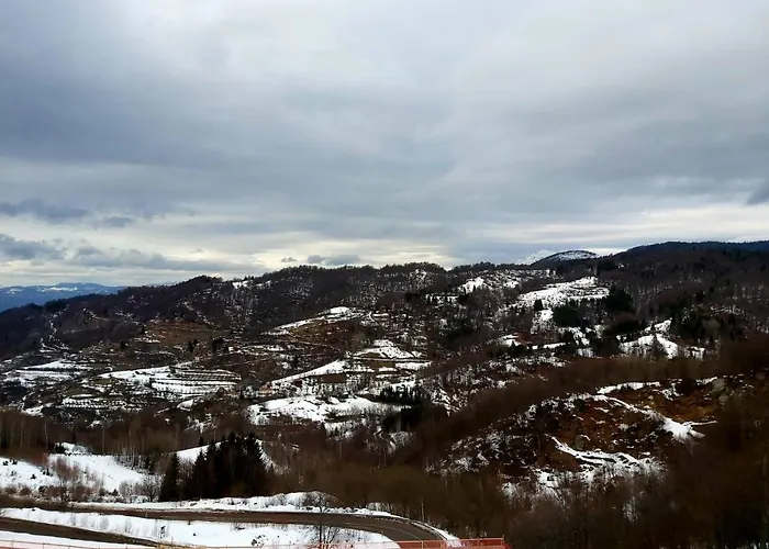 Ami Копаоник